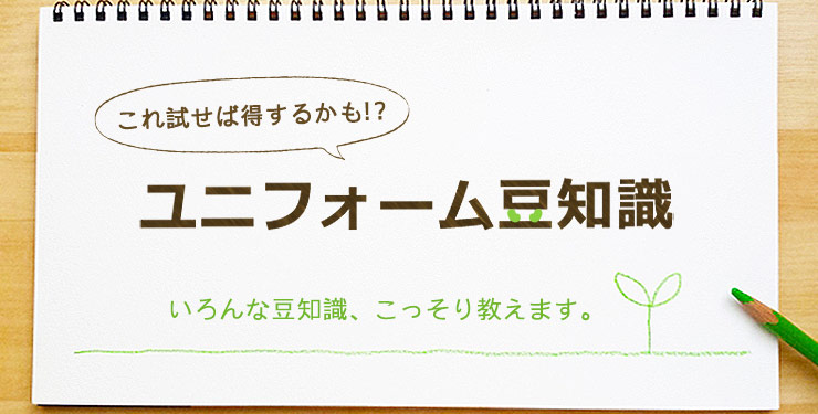 誰でも簡単にできる 毛玉をキレイに除去する方法 ユニネクマガジン