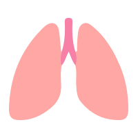肺の加工デザイン